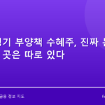 중국 경기 부양책 수혜주, 진짜 돈이 몰리는 곳은 따로 있다